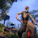 Elder Scrolls Online